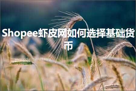 璺ㄥ鐢靛晢鐭ヨ瘑:Shopee铏剧毊缃戝浣曢€夋嫨鍩虹璐у竵