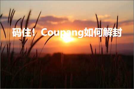 跨境电商知识:码住！Coupang如何解封