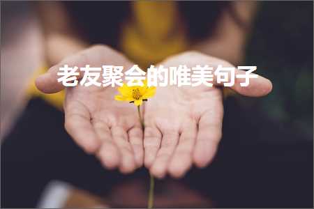 鑰佸弸鑱氫細鐨勫敮缇庡彞瀛愶紙鏂囨910鏉★級