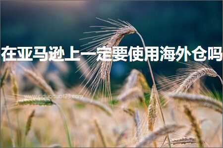 跨境电商知识:在亚马逊上一定要使用海外仓吗