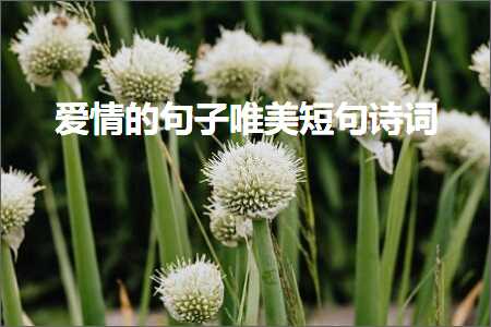 临近春节的唯美句子（文案116条）