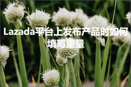 跨境电商知识:Lazada平台上发布产品时如何填写重量