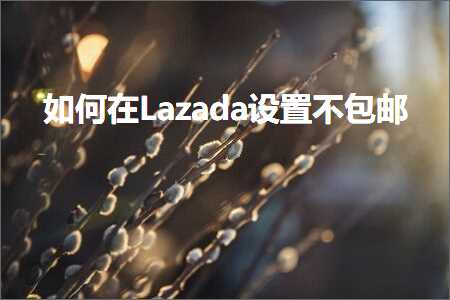 璺ㄥ鐢靛晢鐭ヨ瘑:濡備綍鍦↙azada璁剧疆涓嶅寘閭? width=